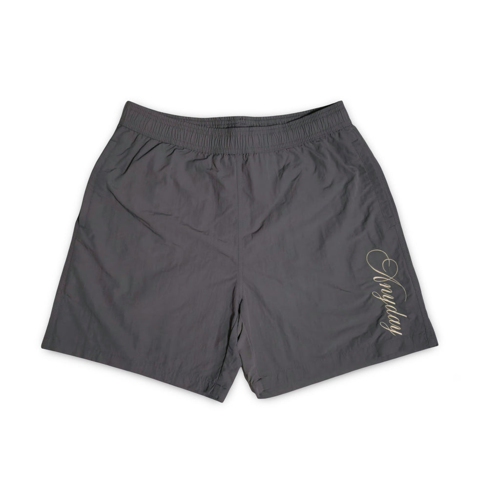 A NY DAY SWIM SHORTS SS'25