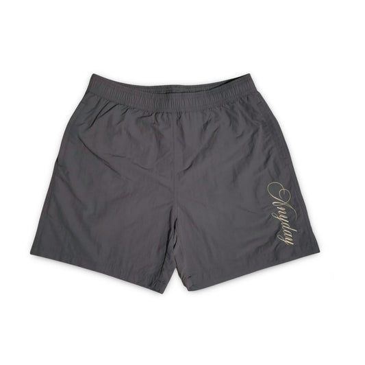 A NY DAY SWIM SHORTS SS'25
